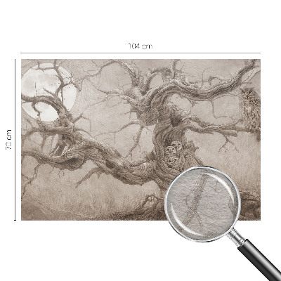 Vliesová fototapeta do spálne Nočné vtáky