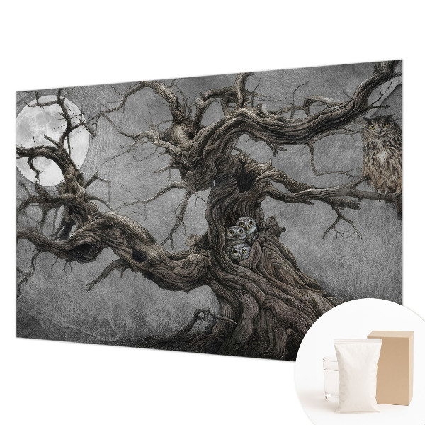 Vliesová fototapeta Tajomná sova