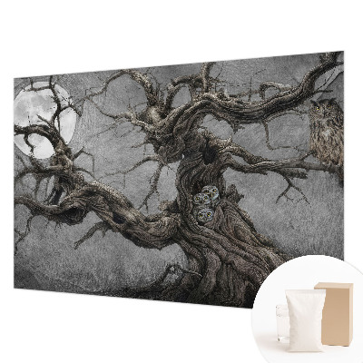 Vliesová fototapeta Tajomná sova