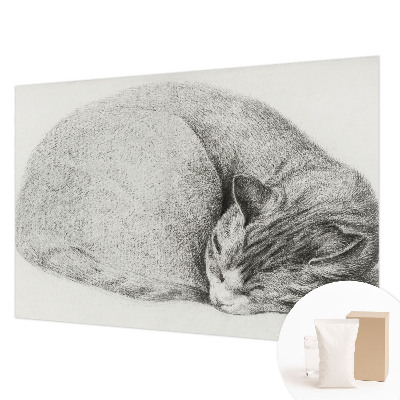 Vliesová fototapeta na stenu Zrolovaná mačka