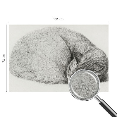 Vliesová fototapeta na stenu Zrolovaná mačka