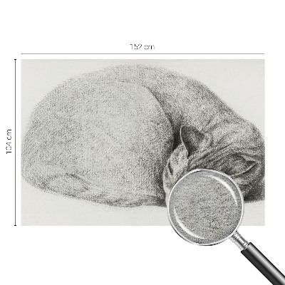 Vliesová fototapeta na stenu Zrolovaná mačka