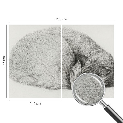 Vliesová fototapeta na stenu Zrolovaná mačka