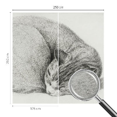 Vliesová fototapeta na stenu Zrolovaná mačka