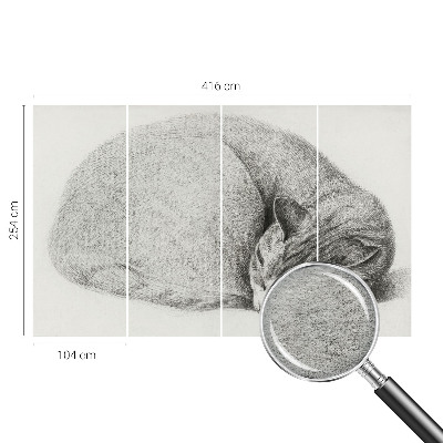 Vliesová fototapeta na stenu Zrolovaná mačka