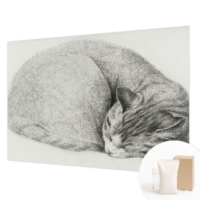 Vliesová fototapeta na stenu Zrolovaná mačka