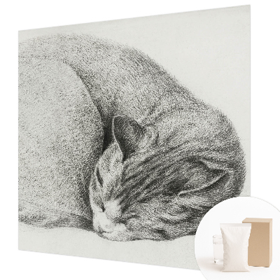 Vliesová fototapeta na stenu Zrolovaná mačka