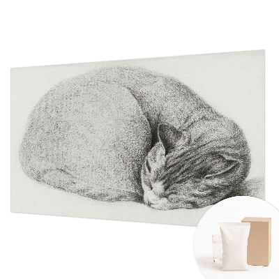 Vliesová fototapeta na stenu Zrolovaná mačka
