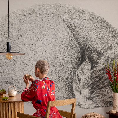 Vliesová fototapeta na stenu Zrolovaná mačka