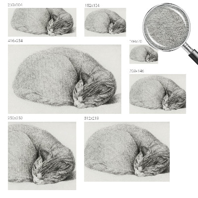 Vliesová fototapeta na stenu Zrolovaná mačka