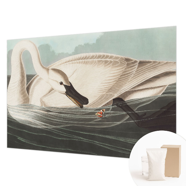 Fototapeta do spálne Harmónia prírody