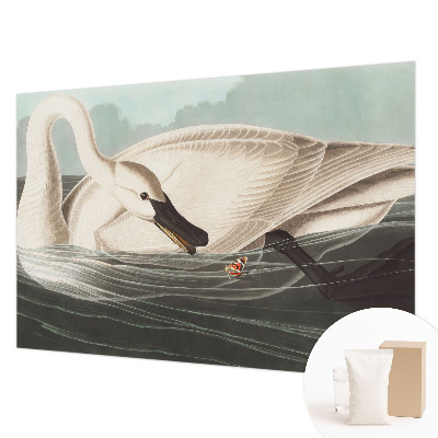 Fototapeta do spálne Harmónia prírody