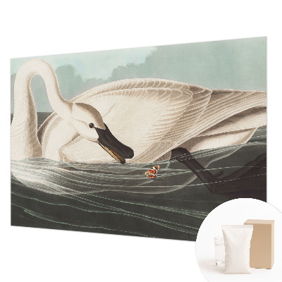 Fototapeta do spálne Harmónia prírody