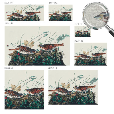 Vliesová fototapeta do obývačky Čaro prírody