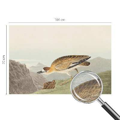 Vliesová fototapeta do spálne Horský vták