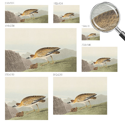 Vliesová fototapeta do spálne Horský vták