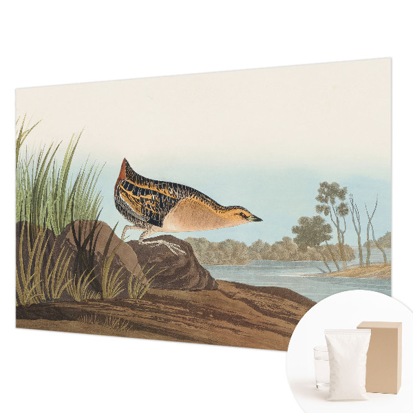 Vliesová fototapeta pre deti Prírodná scenéria