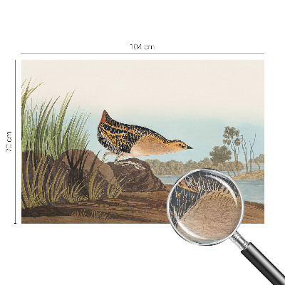 Vliesová fototapeta pre deti Prírodná scenéria