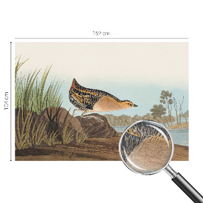 Vliesová fototapeta pre deti Prírodná scenéria