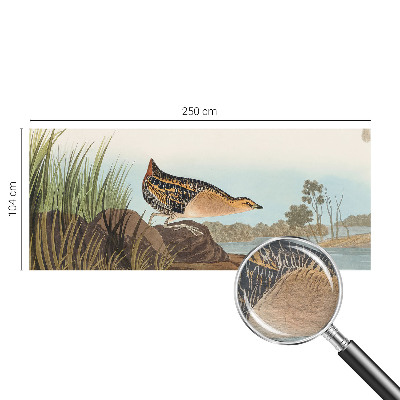 Vliesová fototapeta pre deti Prírodná scenéria