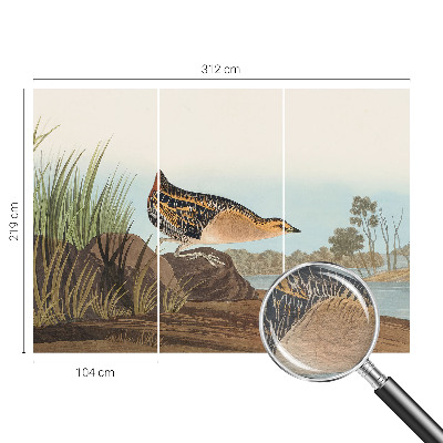 Vliesová fototapeta pre deti Prírodná scenéria