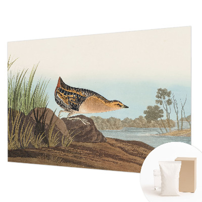 Vliesová fototapeta pre deti Prírodná scenéria