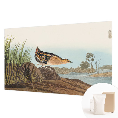 Vliesová fototapeta pre deti Prírodná scenéria