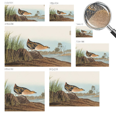 Vliesová fototapeta pre deti Prírodná scenéria