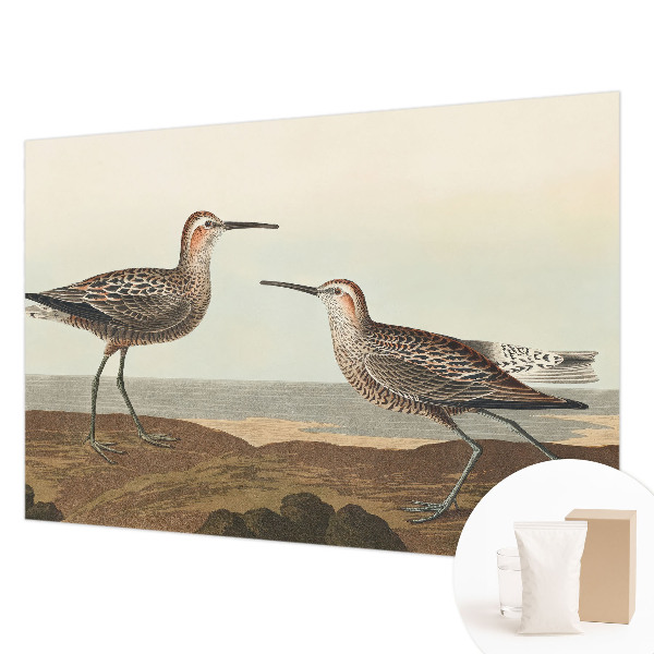 Fototapeta do spálne Siluety vtákov