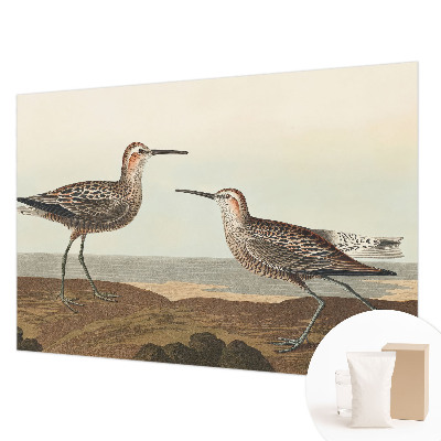 Fototapeta do spálne Siluety vtákov