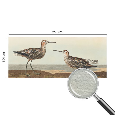 Fototapeta do spálne Siluety vtákov