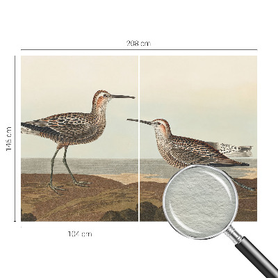 Fototapeta do spálne Siluety vtákov