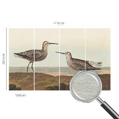 Fototapeta do spálne Siluety vtákov