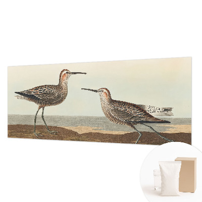 Fototapeta do spálne Siluety vtákov