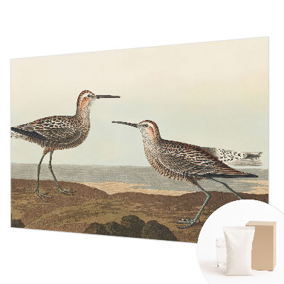 Fototapeta do spálne Siluety vtákov