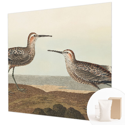 Fototapeta do spálne Siluety vtákov