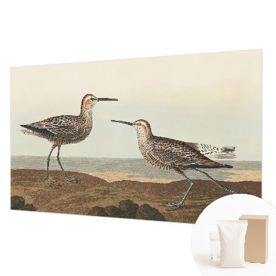 Fototapeta do spálne Siluety vtákov