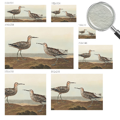 Fototapeta do spálne Siluety vtákov