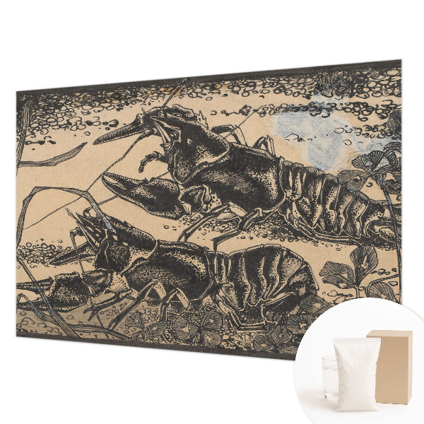 Fotografická tapeta na vliese Vodný rak