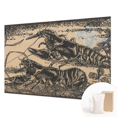 Fotografická tapeta na vliese Vodný rak