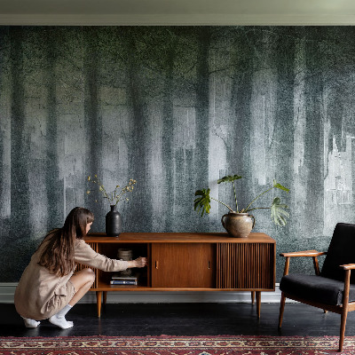 Dekoratívna fototapeta na stenu Tajomný les