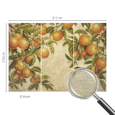 Tapeta na stenu Ovocné konáre