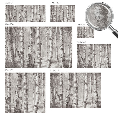 Fototapeta na mieru Brezový les