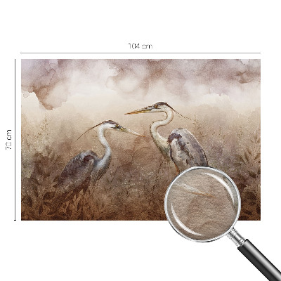 Vliesová fototapeta do obývačky Elegantné vtáky