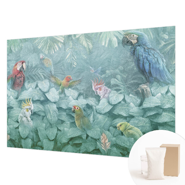 Luxusná tapeta Exotické vtáky