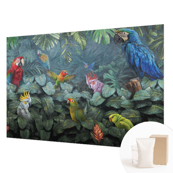 Tapeta na stenu Exotická džungľa