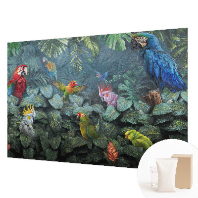 Tapeta na stenu Exotická džungľa