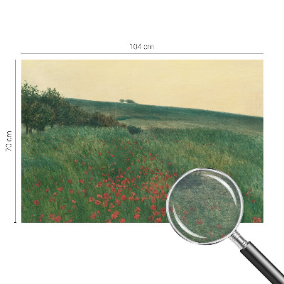 Fotografická tapeta na vliese Makové polia