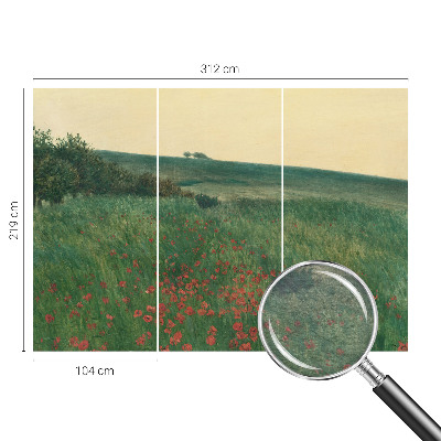 Fotografická tapeta na vliese Makové polia