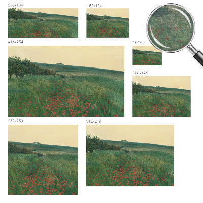 Fotografická tapeta na vliese Makové polia